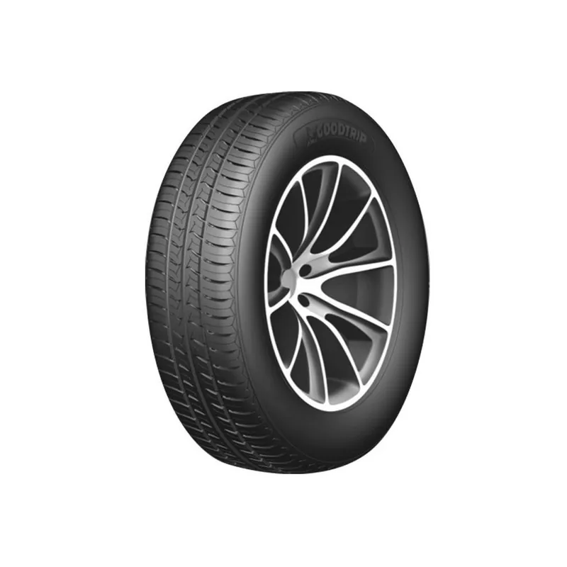Non Perdere 205/60 R15 91V VR Goodtrip Zo Gp-16