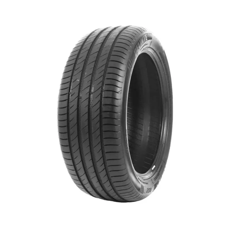 Occasione Imperdibile 225/55 R18 102 W Delinte Ds2