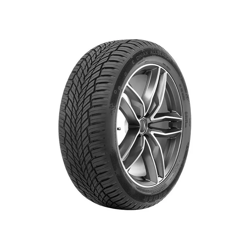 195/65 R15 95 V Radar Dimax All Season Acquista Ora