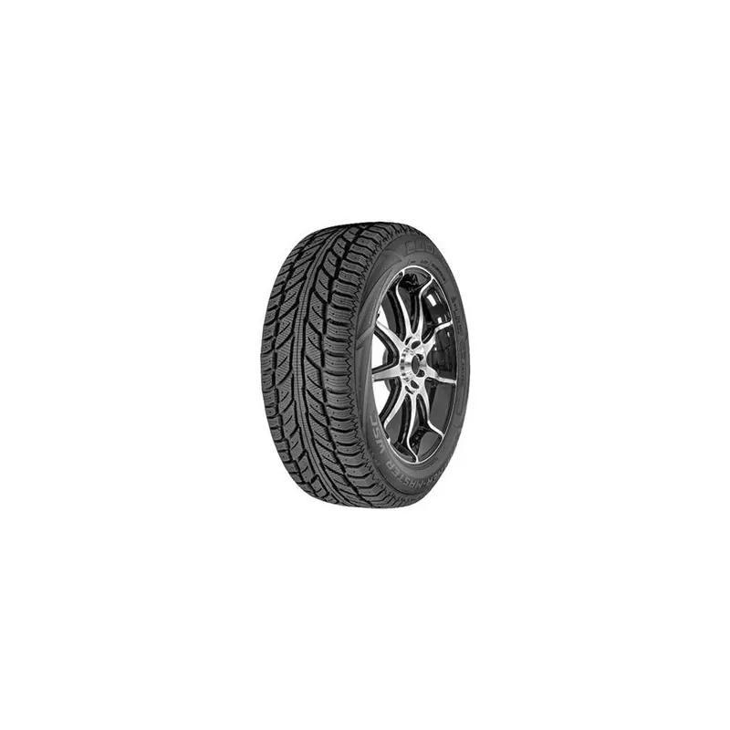 225/55 R18 98 T Cooper Weather-master Wsc Esclusivo