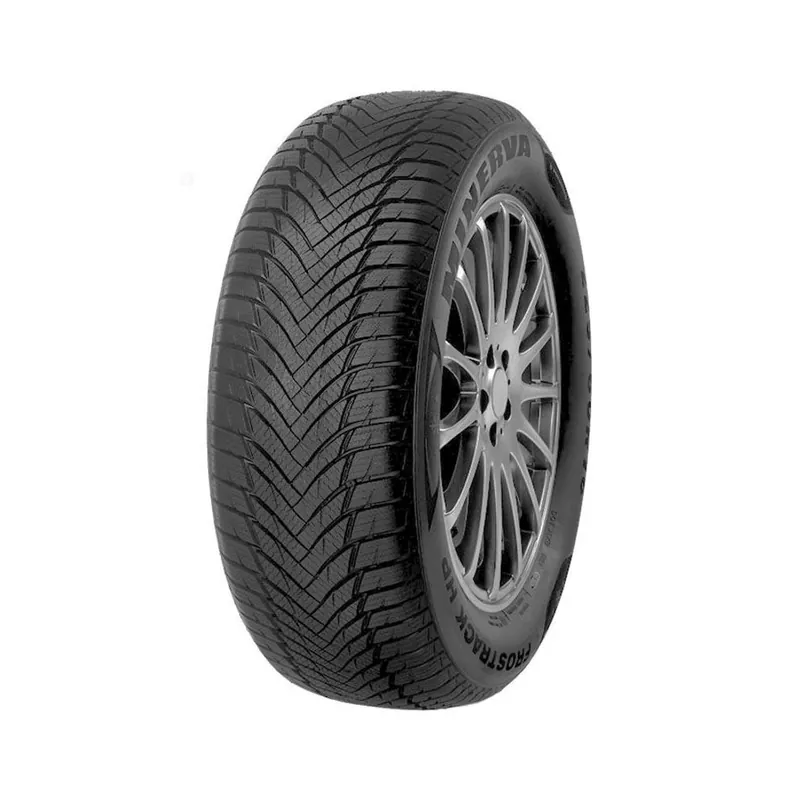 195/55 R16 87 H Minerva Frost Track Hp Saldi