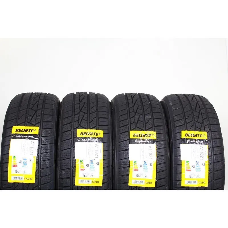 Soddisfatti O Rimborsati 205 60 R16 96H XL M+S DELINTE AW5