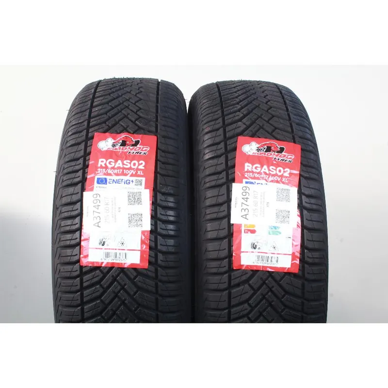 215 60 R17 100V XL M+S ROADHOG TYRES RGAS02 Promo Stagionale