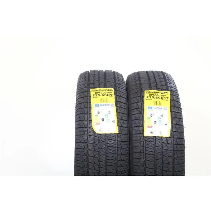 Compra Online Gomme invernali 225 60 17 103v doublecoin