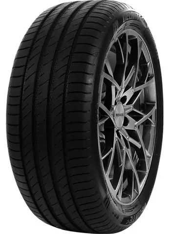 Offerta Limitata DELINTE 195/55 WR16 TL 91W DELINTE DS2 XL