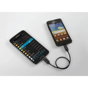 Compra Oggi Stesso Cavo otg micro usb > micro usb - 30 cm - nero 38936
