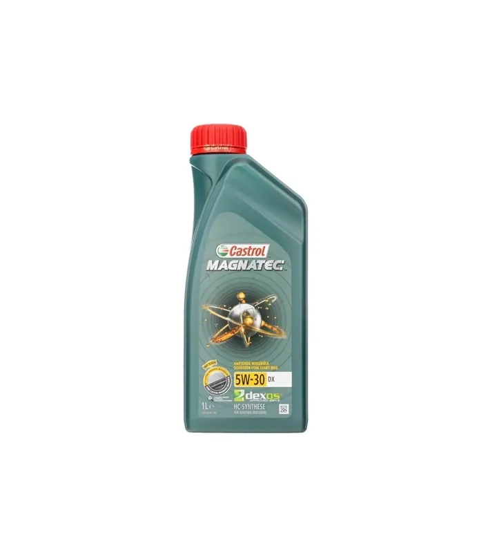 Ss olio castrol magnatec 5w-30 dx 1lt Non Perdere