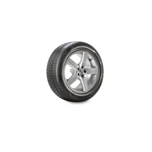 Reso Gratuito Pneumatico pirelli 325 35 r 22 114 v xl scorp.wint