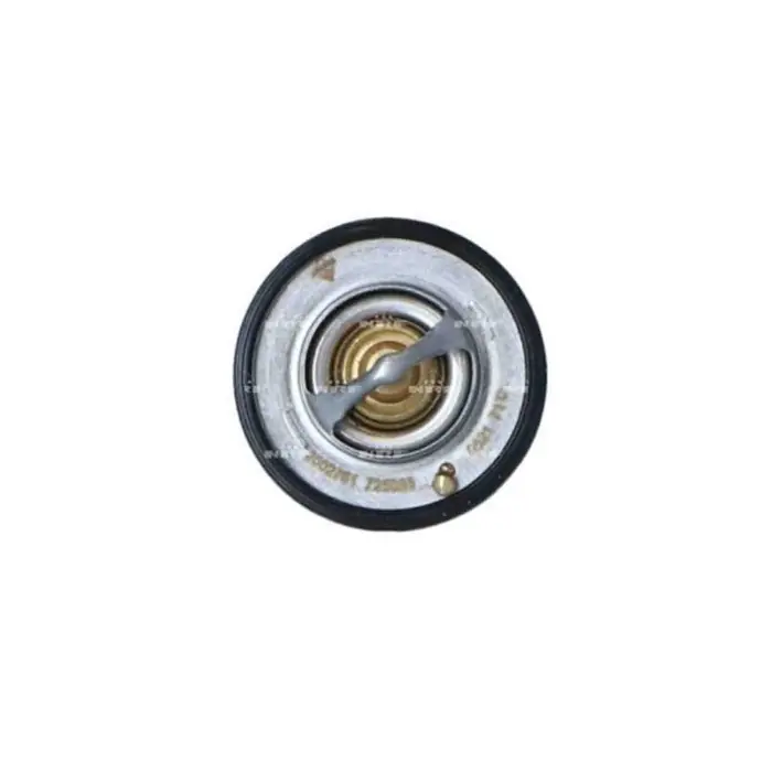 Termostato, refrigerante 725088 NRF per RENAULT OPEL NISSAN Offerta Lampo