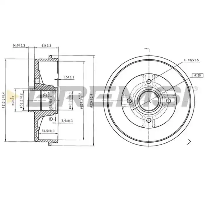 Kit Tamburi Freno Posteriore 94027500 DACIA Logan Verniciato Scelto Dai Clienti