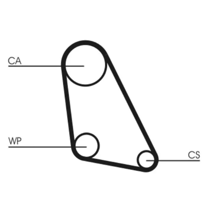 Cinghia dentata CT534 CONTINENTAL CTAM per VW SEAT Prezzo Conveniente