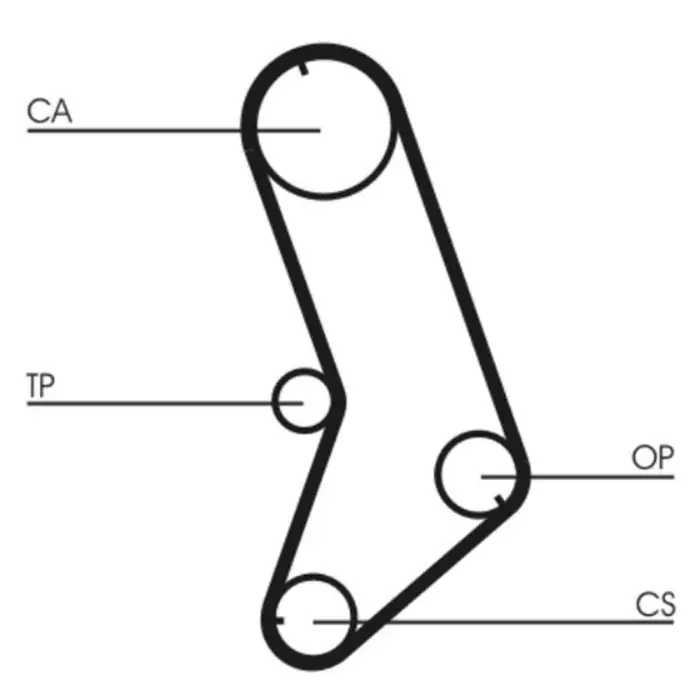 Solo Oggi Cinghia dentata CT647 CONTINENTAL CTAM per RENAULT PEUGEOT CITROEN FIAT LANCIA