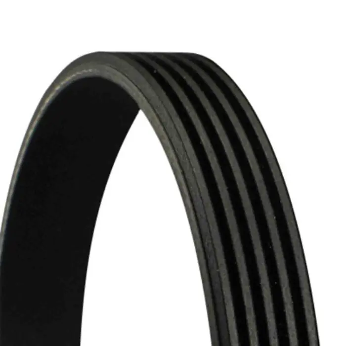 Cinghia Poly-V 5PK1155 CONTINENTAL CTAM per CITROEN BMW FIAT HONDA Professionale