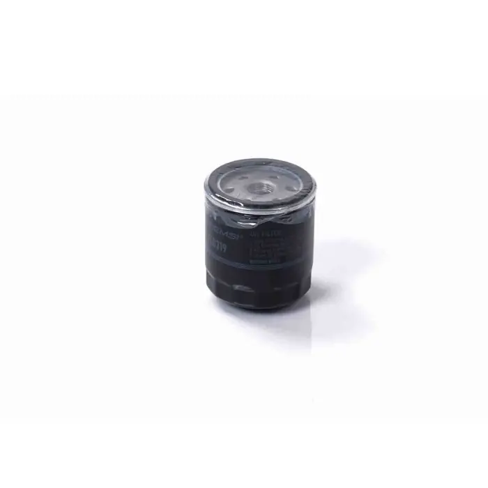 Filtro Olio Alfa Romeo 166 (936) Fl0319 60574554 Filtro Ad Avvitamento Filtro Ad Avvitamento Bremsi Prezzo Ridotto