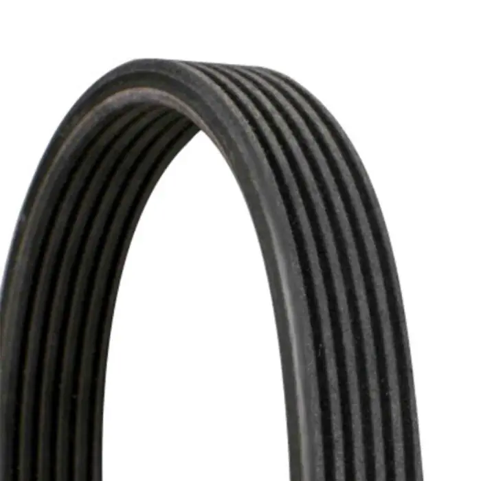 Ultime Pezzi Cinghia Poly-V 6DPK1697 CONTINENTAL CTAM per BMW