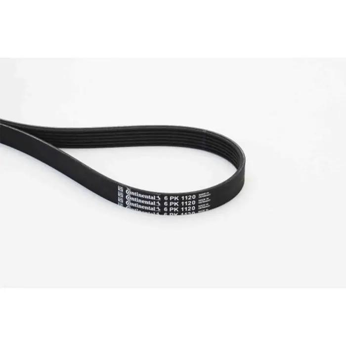 Cinghia Poly-V 6PK1120 CONTINENTAL CTAM per AUDI VW FORD TOYOTA SEAT HYUNDAI KIA Compra Oggi Stesso
