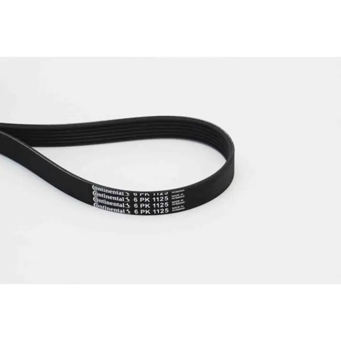 Ordina Subito Cinghia Poly-V 6PK1125 CONTINENTAL CTAM per RENAULT PEUGEOT CITROEN AUDI VW SEAT