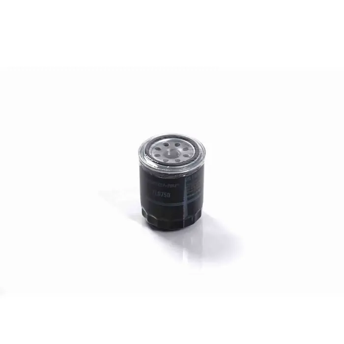 Filtro Olio Subaru Outback (bs) Fl0750 15208-aa110 Filtro Ad Avvitamento Bremsi Consegna Rapida