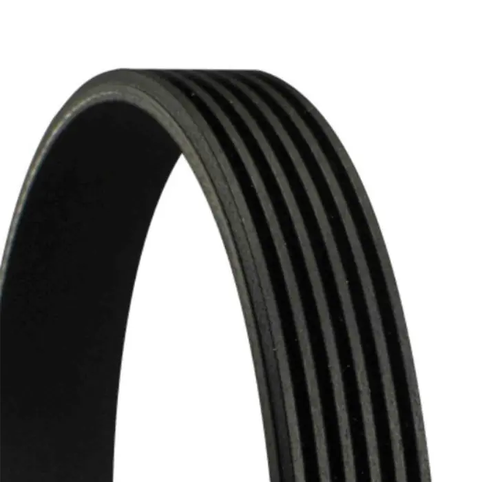 Prezzo Di Fabbrica Cinghia Poly-V 6PK1360 CONTINENTAL CTAM per FORD OPEL FIAT CHEVROLET
