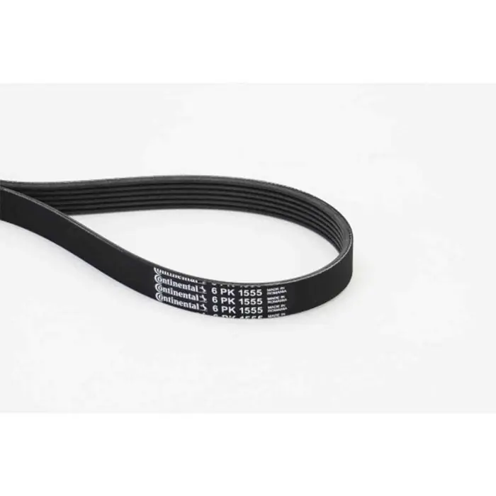 Cinghia Poly-V 6PK1555 CONTINENTAL CTAM per RENAULT BMW AUDI VW FORD OPEL VOLVO Offerta