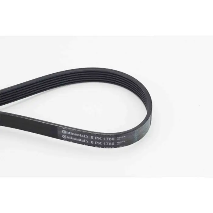 Nuovo Arrivo Cinghia Poly-V 6PK1780 CONTINENTAL CTAM per RENAULT BMW FORD FIAT HYUNDAI KIA