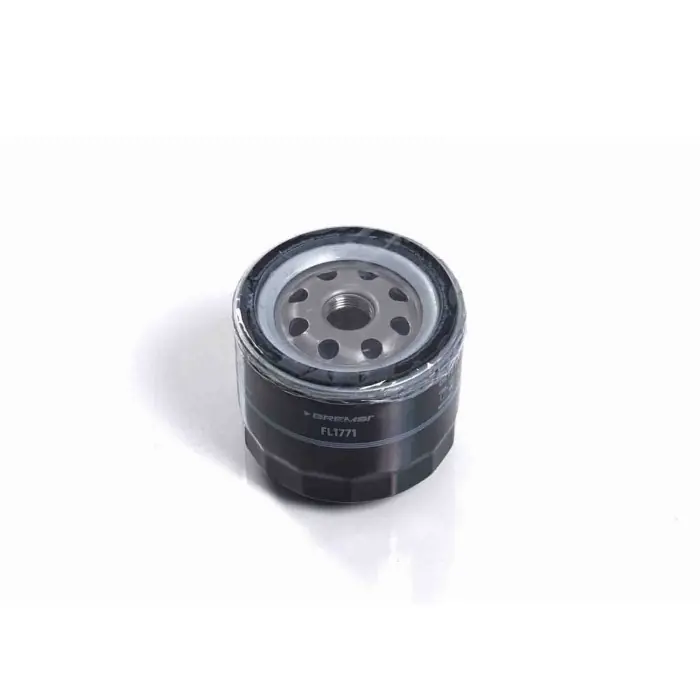 Filtro Olio Honda Accord I Civic I Hatchback Isuzu Trooper I Opel Campo Fl1771 15400634003 Filtro Ad Avvitamento Bremsi Popolare