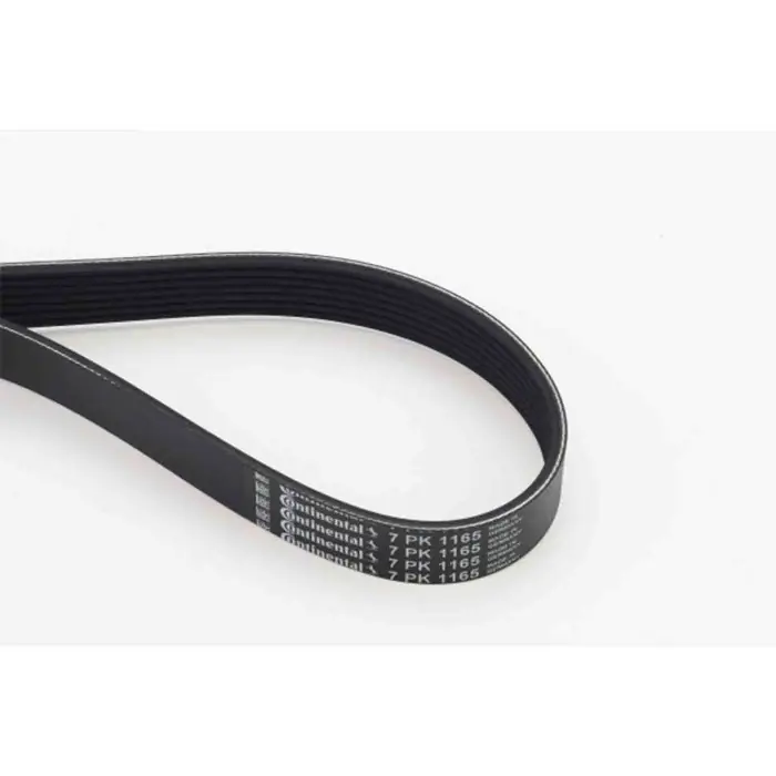 Ordina Subito Cinghia Poly-V 7PK1165 CONTINENTAL CTAM per NISSAN