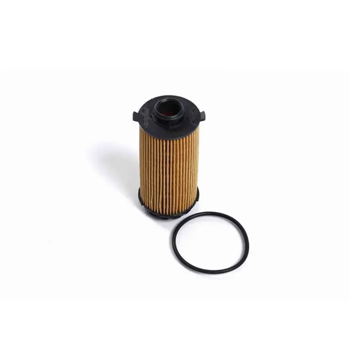 Acquista Ora Filtro Olio Porsche 718 Boxster 718 Cayman Fl2548 0pc.115.466 Cartuccia Filtro Bremsi