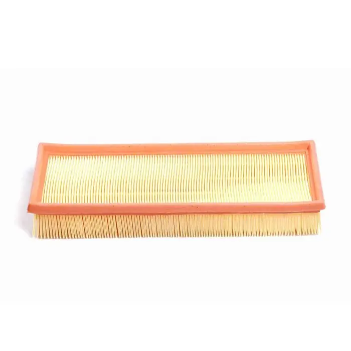 Esclusivo Filtro Aria Renault Trafic Furgonato (t P V) Fa2119 77 00 678 752 Bremsi