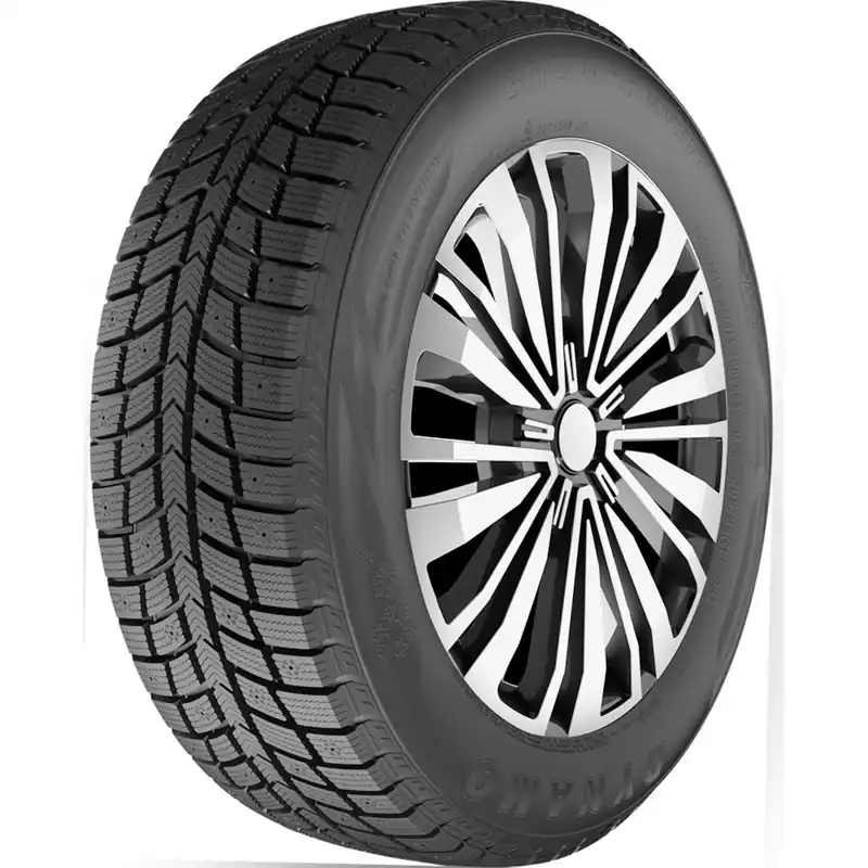 Prezzo Conveniente DYNAMO SNOW H MWH03 XL 205/50 R17 93H TL M+S 3PMSF