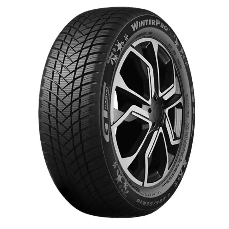 Super Prezzo GT RADIAL WINTERPRO 2 EVO XL 195/65 R15 95T TL M+S 3PMSF