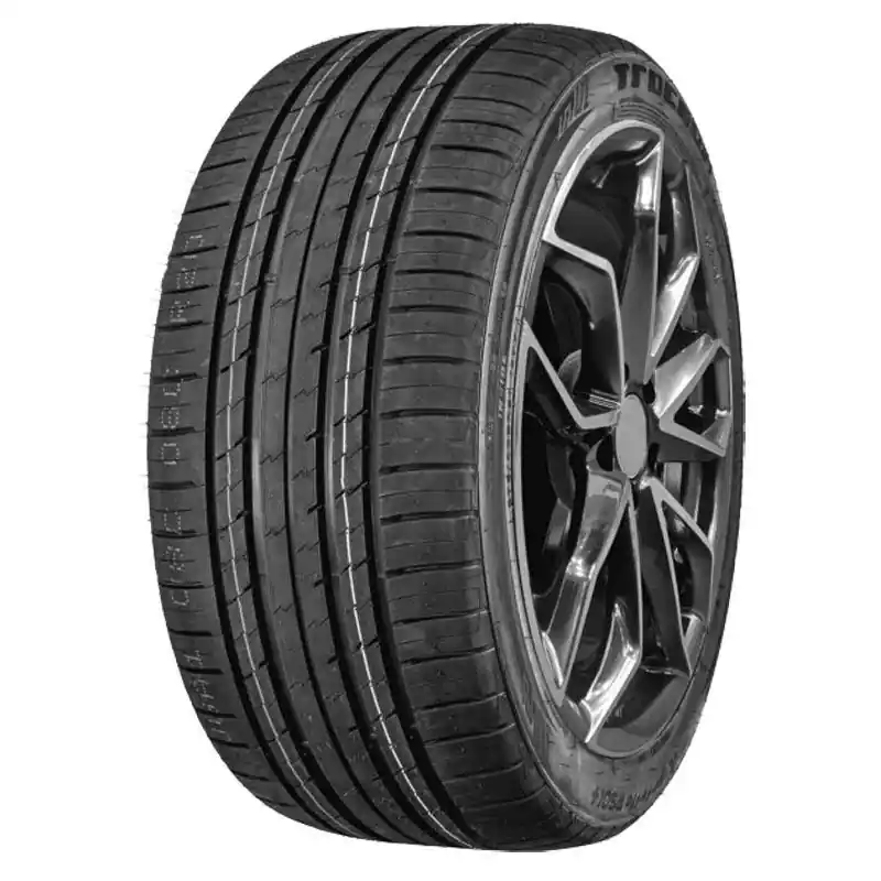 Professionale TRACMAX X PRIVILO RS 01 XL 295/35 R21 107Y TL