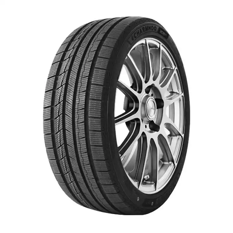 GOPRO EV ICE XL 245/50 R19 105V TL M+S 3PMSF Promo Stagionale