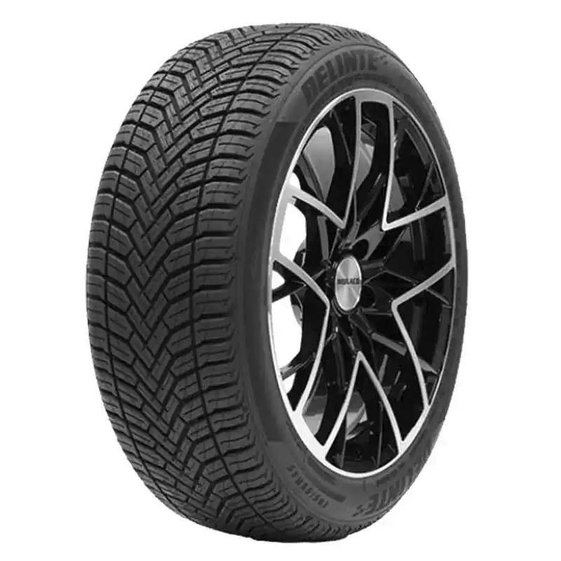 DELINTE AW 6 195/55 R16 87H TL M+S 3PMSF Solo Oggi